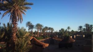 468203_328891643824503_1157960100_o