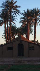 622300_3186248754251_1791586279_o